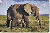 Muismat XXL - Bureau onderlegger - Bureau mat - Olifant - Dieren - Grasvlakte - Groen - Grijs - 90x60 cm - XXL muismat