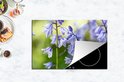 Product afbeelding  11