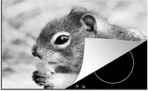 KitchenYeah® Inductie beschermer 78x52 cm - Etende eekhoorn op wazige achtergrond in zwart-wit - Kookplaataccessoires - Afdekplaat voor kookplaat - Inductiebeschermer - Inductiemat - Inductieplaat mat