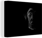 Canvas Schilderij Een zwarte Labrador Retriever op een zwarte achtergrond - zwart wit - 80x60 cm - Wanddecoratie