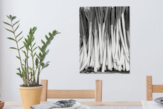 Tableau sur toile Oignons de Saint-Jean allongés empilés dans une caisse - noir et blanc - 30x40 cm - Décoration murale