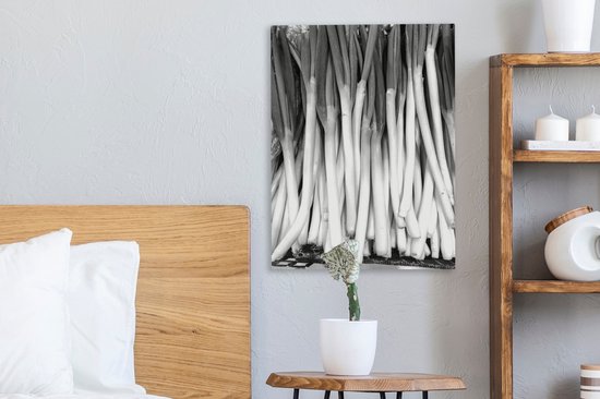 Tableau sur toile Oignons de Saint-Jean allongés empilés dans une caisse - noir et blanc - 30x40 cm - Décoration murale