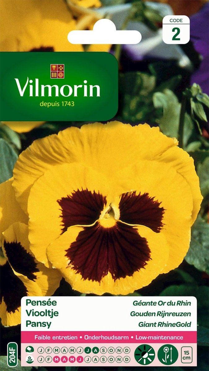 Vilmorin - Viooltje - Gouden Rijnreuzen - V204
