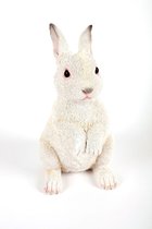Staand wit konijn tuinbeeld - Hamac - Tuinbeelden - Dieren - fiberglas