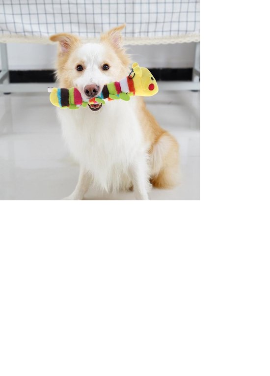 Jouet pour chien - Peluche - Animaux - Couineur - Coloré - Chien - Jouer - Chenille