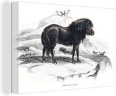Canvas Schilderij Een illustratie van een zwarte shetlander - 30x20 cm - Wanddecoratie