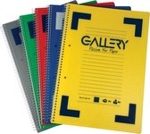 Gallery Traditional spiraalschrift ft A4, gelijnd, geassorteerde kleuren, 160 bladzijden 6 stuks