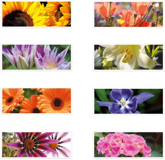 Wenskaarten set met 8 wenskaarten bloemen