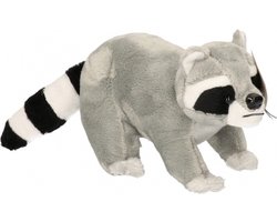 Pluche wasbeer 25 cm
