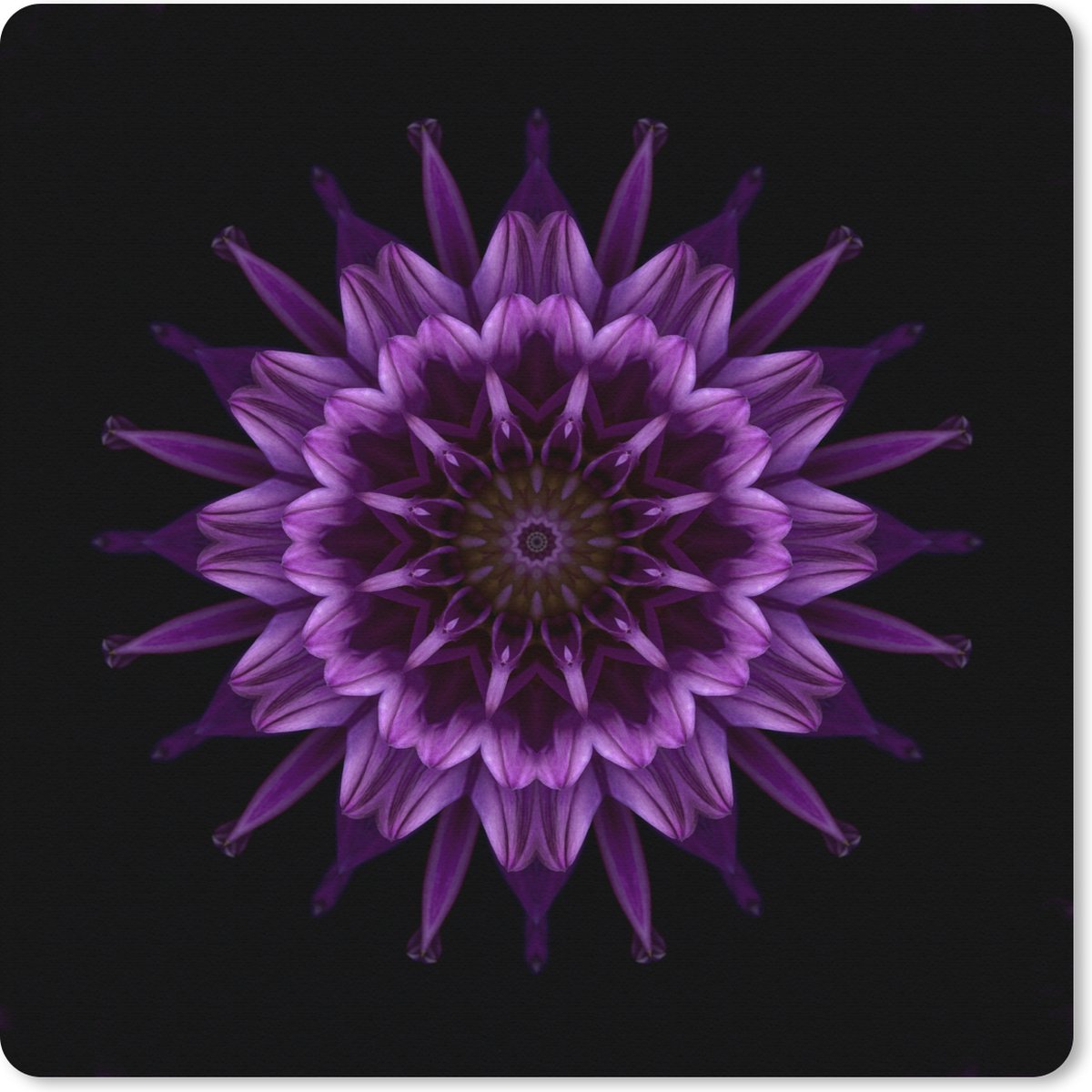 Muismat XXL 80x80 cm - Bureau onderlegger - Bureau mat Mandala paarse dahlia - Bureaumat - Gaming mousepad xl - Bureaulegger groot - Computer deskmat