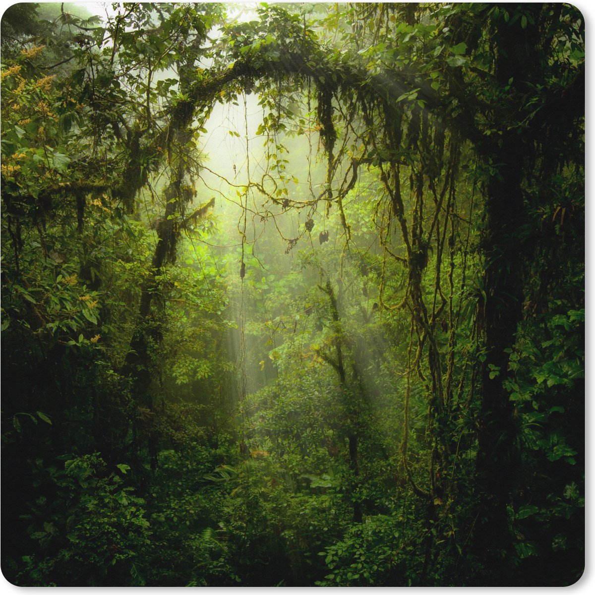 Muismat XXL 60x60 cm - Bureau onderlegger - Bureau mat Groen getinte afbeelding van het regenwoud van Costa Rica - Bureaumat - Gaming mousepad xl - Bureaulegger groot - Computer deskmat