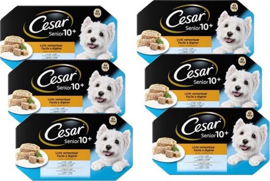 6x Cesar Senior 10+ kuipje in Gelei Multipack - Hondenvoeding - 600g | bol