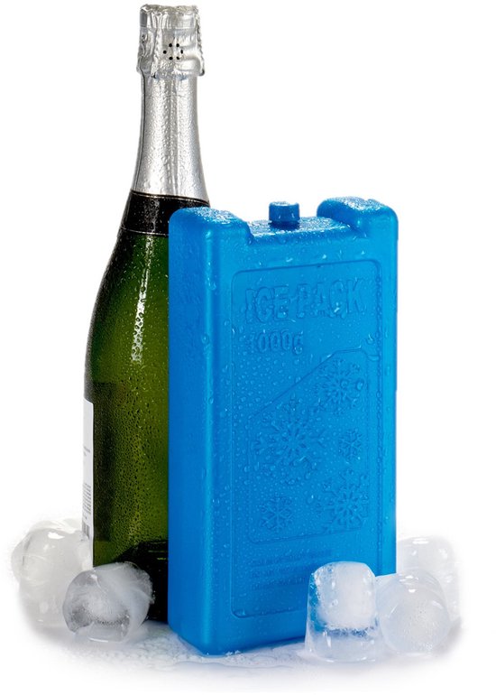 Arte R Koelelementen - Set van 6x stuks - groot blok - 1000 ml - 11 x 5 x 22 cm - blauw - voor koeltas en koelbox — afbeelding 2