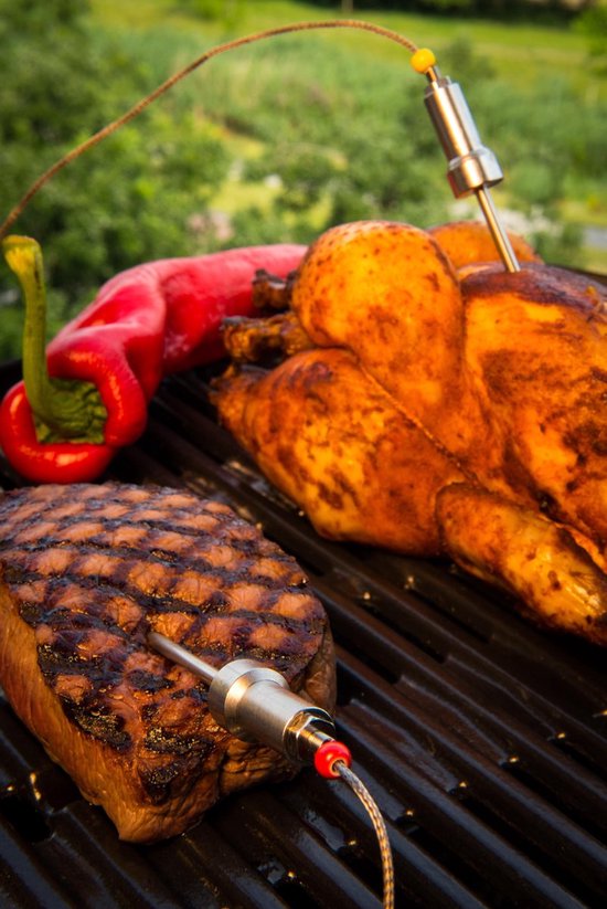 Smart Bluetooth Dome BBQ Thermometer AT02 met 2 probes bol