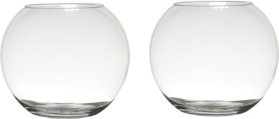 Set van 2x stuks transparante ronde bol vissenkom vaas/vazen van glas 23 x 30 cm - Bloemen/boeketten vaas voor binnen gebruik