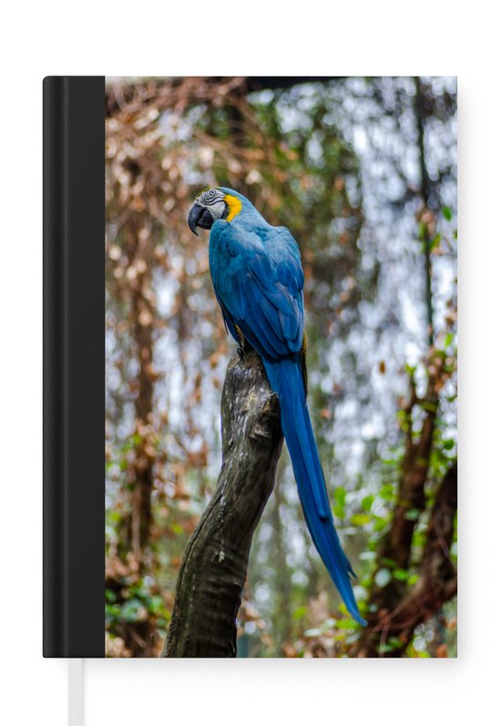 Carnet - Carnet d'écriture - Vogel - Perroquet - Blauw - Carnet - Format A5 - Bloc-notes