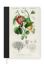 Carnet - Carnet d'écriture - Plante - Vintage - Passiflore - Carnet - Format A5 - Bloc-notes