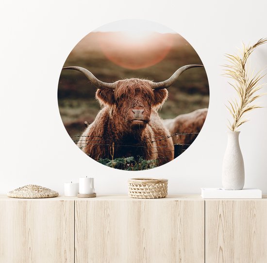 Muursticker Highland Cow in the Sun