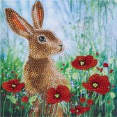Crystal Card kit diamond painting Wild Poppies and the Hare 18 x 18 cm