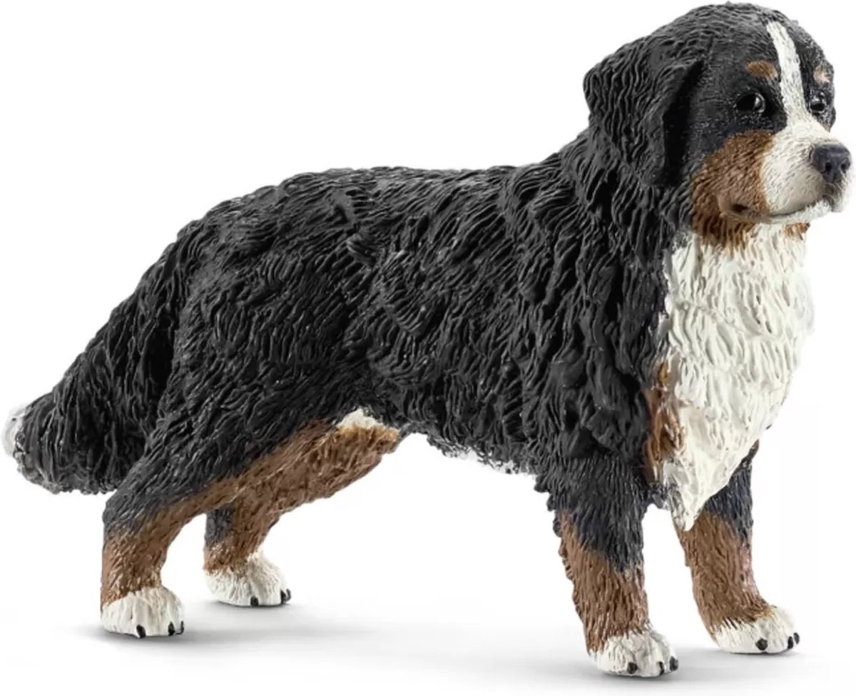 schleich FARM WORLD - Berner Sennenteef - 16397 — afbeelding 3