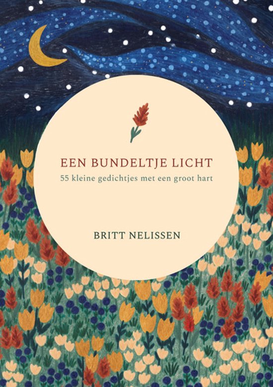 Een bundeltje licht - cover