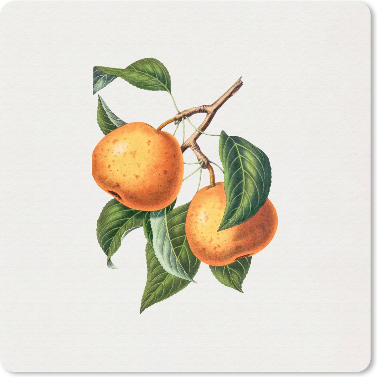Muismat 30x30 cm - Mousepad Fruit - Oranje - Vintage - Muismatten