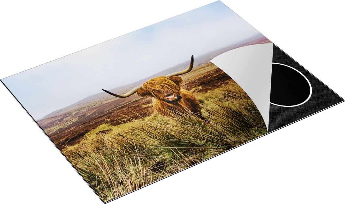Chefcare Inductie Beschermer Groen Bos met Zonlicht - 77x59 cm - Afdekplaat Inductie - Kookplaat Beschermer - Inductie Mat