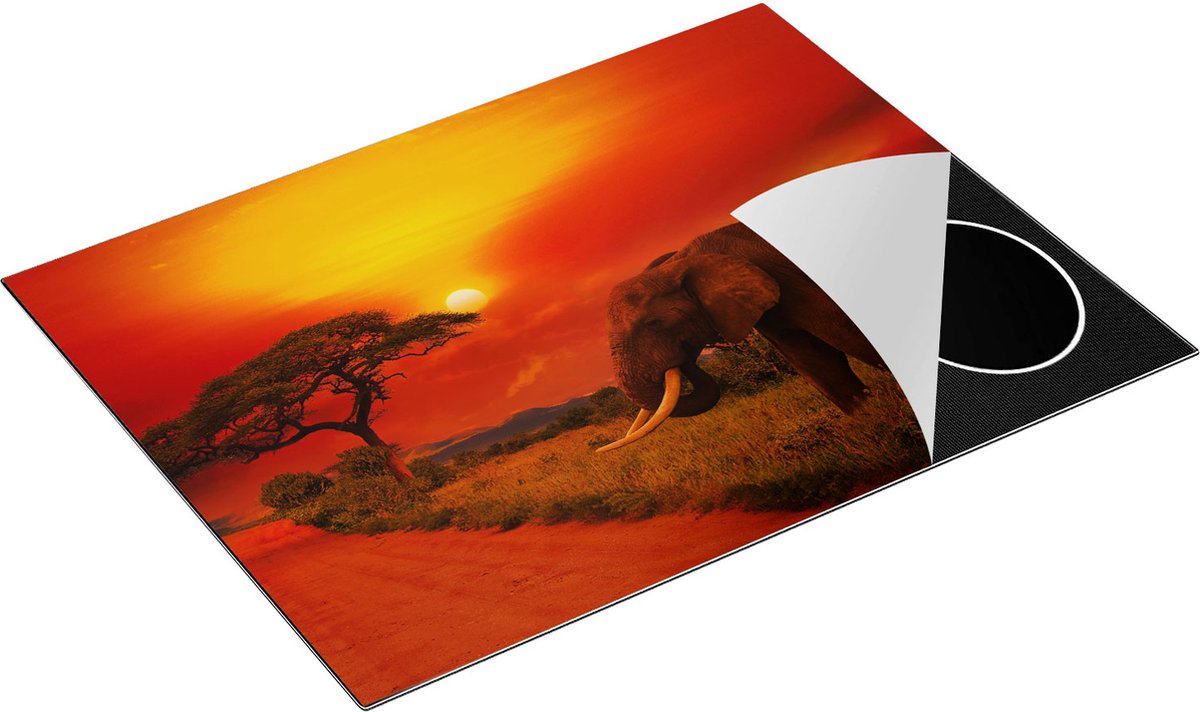 Chefcare Inductie Beschermer Olifant in het Wild tijdens Zonsondergang - 77x59 cm - Afdekplaat Inductie - Kookplaat Beschermer - Inductie Mat