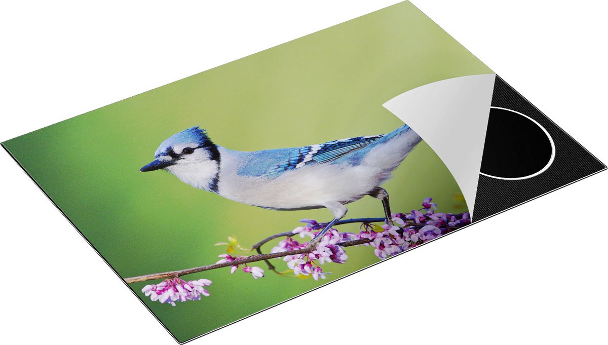 Chefcare Inductie Beschermer Blauwe Gaai Vogel op een Tak - Kleur - 75x50 cm - Afdekplaat Inductie - Kookplaat Beschermer - Inductie Mat