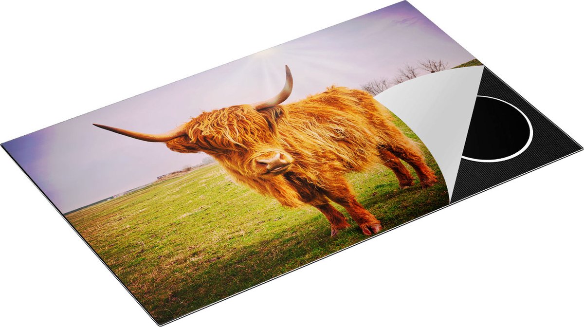 Chefcare Inductie Beschermer Bruine Schotse Hooglander Koe - Kleur - 85x52 cm - Afdekplaat Inductie - Kookplaat Beschermer - Inductie Mat