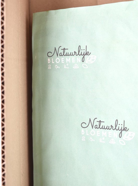 Une feuille de papier verte avec le texte 'Natuurlijk Bloemen' en lettres calligraphiées, accompagnée de petites icônes.