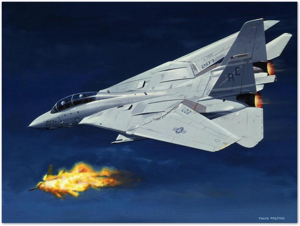 TP Aviation Art Thijs Postma - TP Aviation Art - Poster - Grumman F-14 Tomcat Schiet MiG-23 Neer - 50x70cm Kleur