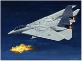 Thijs Postma - TP Aviation Art - Poster - Grumman F-14 Tomcat Schiet MiG-23 Neer - 50x70cm