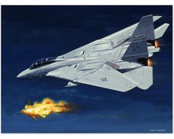 Thijs Postma - TP Aviation Art - Poster - Grumman F-14 Tomcat Schiet MiG-23 Neer - 50x70cm