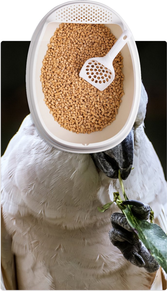 Kattenbakmat - Placemat kat - Kattenbak mat - Stilleven met hamsters in een Kattenbakmat - Placemat kat - Kattenbak mat - Stilleven met hamsters in een