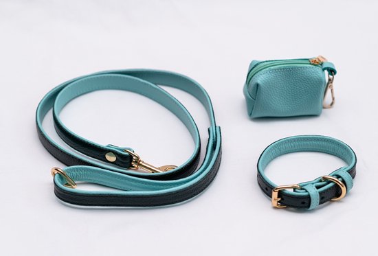 Halsband hond -riem- halsband puppy - hondenhalsband Leren- afvalzak draagset - Groen - Turquoise - Verstelbaar - M/L- 32 cm tot 40 cm