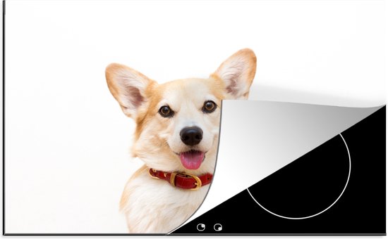 KitchenYeah® Inductie beschermer 81.6x52.7 cm - Corgi met halsband op witte achtergrond - Kookplaataccessoires - Afdekplaat voor kookplaat - Inductiebeschermer - Inductiemat - Inductieplaat mat