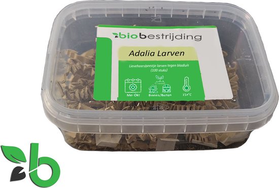 Adalia lieveheersbeestje larven tegen bladluis (100 stuks) - bestrijding bladluizen - adalia - 100% natuurlijke bestrijding - lieveheersbeestjes larven