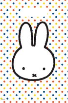 Miffy Hand Out Bags 23x16.5cm 6 pcs