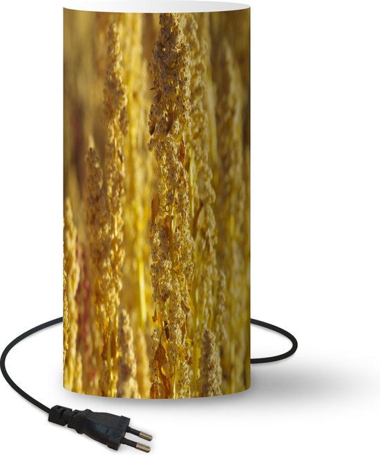 Lamp - Nachtlampje - Tafellamp slaapkamer - Gouden stengels van quinoa  planten... | bol.com