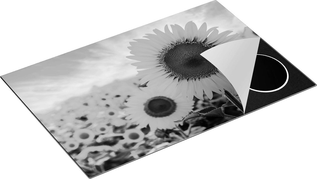 Chefcare Inductie Beschermer Zonnebloemen Veld - Zwart Wit - 80,2x52,2 cm - Afdekplaat Inductie - Kookplaat Beschermer - Inductie Mat