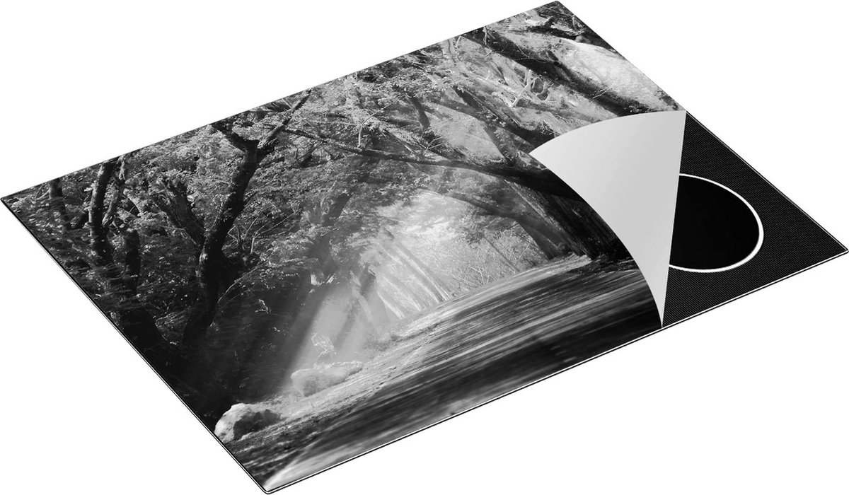 Chefcare Inductie Beschermer Weg Omringd met Bomen - Zwart Wit - 70x52 cm - Afdekplaat Inductie - Kookplaat Beschermer - Inductie Mat