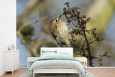 Behang - Fotobehang Eenzaam goudhaan vogeltje op een bruine tak - Breedte 450 cm x hoogte 300 cm