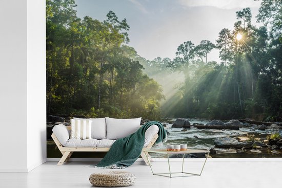 Papier peint vinyle - Le soleil brille sur une rivière dans une forêt malaisienne largeur 390 cm x hauteur 260 cm - Tirage photo sur papier peint (disponible en 7 tailles)