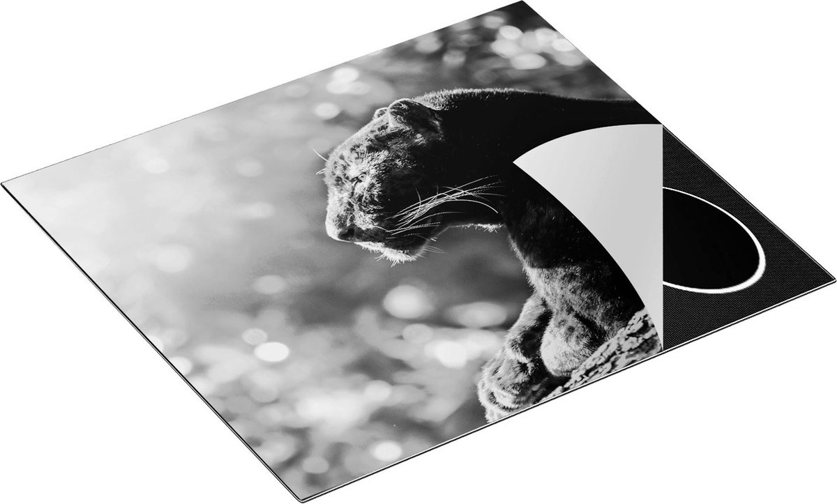 Chefcare Inductie Beschermer Zwarte Panter vanaf de Zijkant - Zwart Wit - 60x55 cm - Afdekplaat Inductie - Kookplaat Beschermer - Inductie Mat
