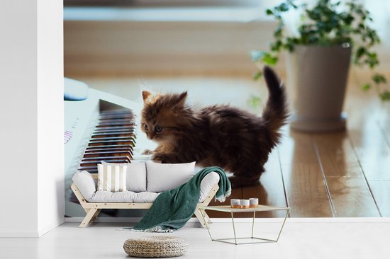 Papier peint photo peint photo vinyle - Chaton jouant avec un piano largeur 390 cm x hauteur 260 cm - Tirage photo sur papier peint (disponible en 7 tailles)
