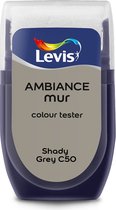 Levis Ambiance - Color Tester - Mat - Shady Grey C50 - 0,03L