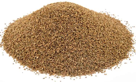 Graines de Céleri - KZ0239