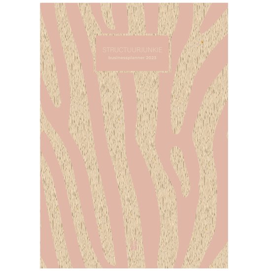 Structuurjunkie – Structuurjunkie Businessplanner 2023
