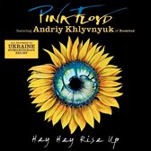 Pink Floyd featuring Andriy Khlyvnyuk - Hey Hey Rise Up 7'' single
